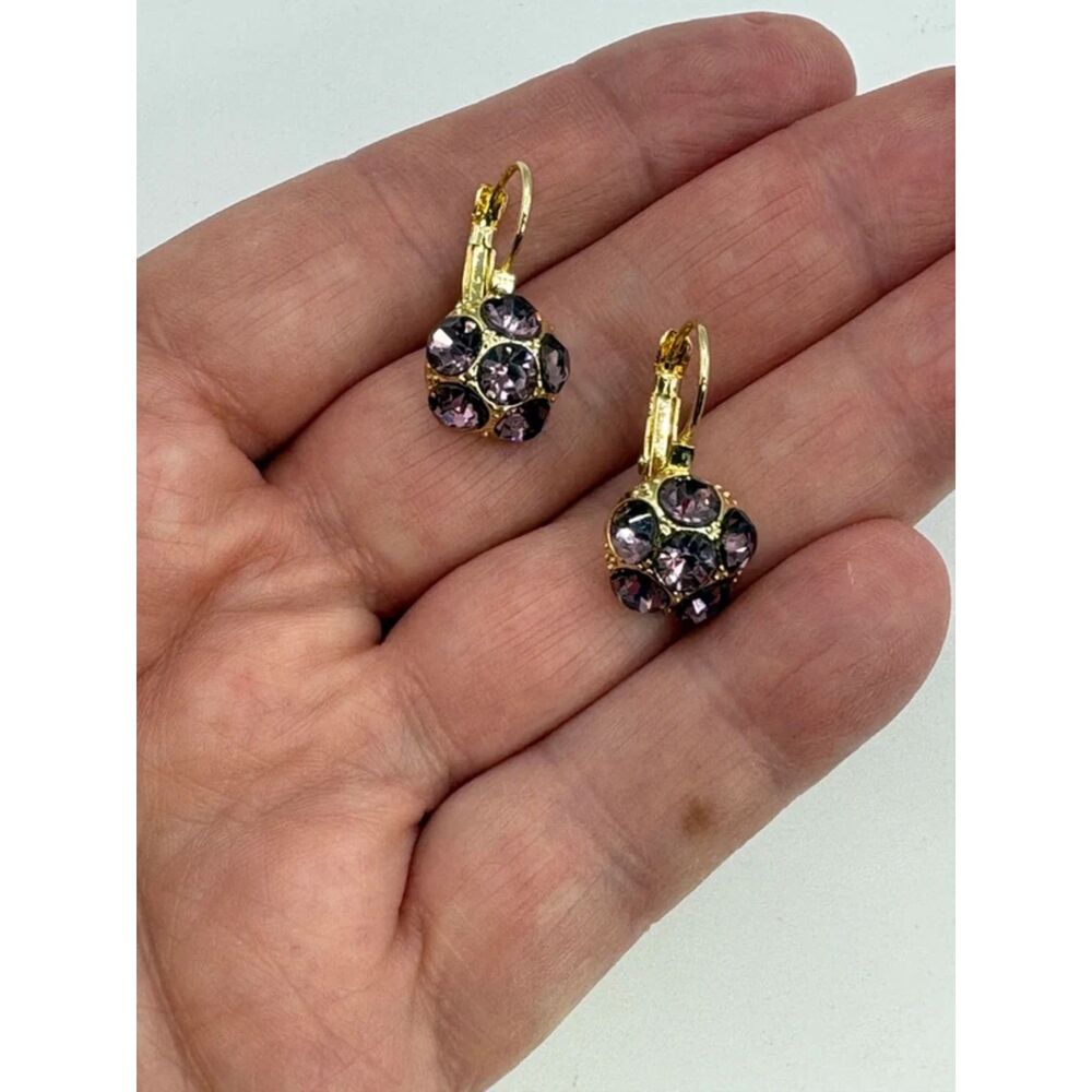 Amethyst Round Earrings